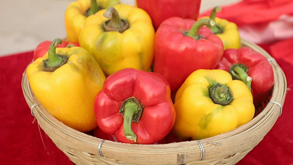 豐收的喜悅!臨邑理合務鎮首屆曬冬節來了(圖)